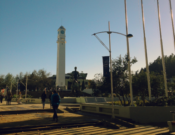 noticia-don-quijote